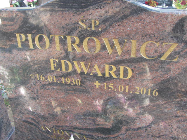 Helena Piotrowicz 1919 Laskowice - Grobonet - Wyszukiwarka osób pochowanych